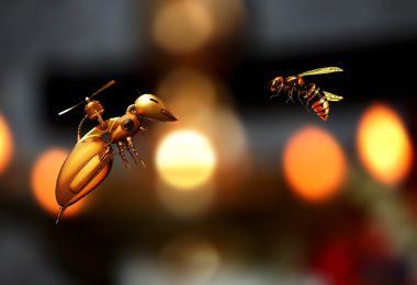 méh drón